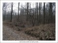 /album/fotogalerie-obrazky/mydlovar-3-jpg/